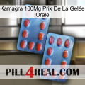 Kamagra 100Mg Prix De La Gelée Orale 05